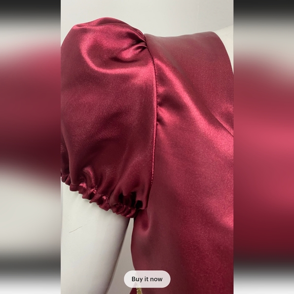 Bridgerton Regency Dress - Picture 5 of 7